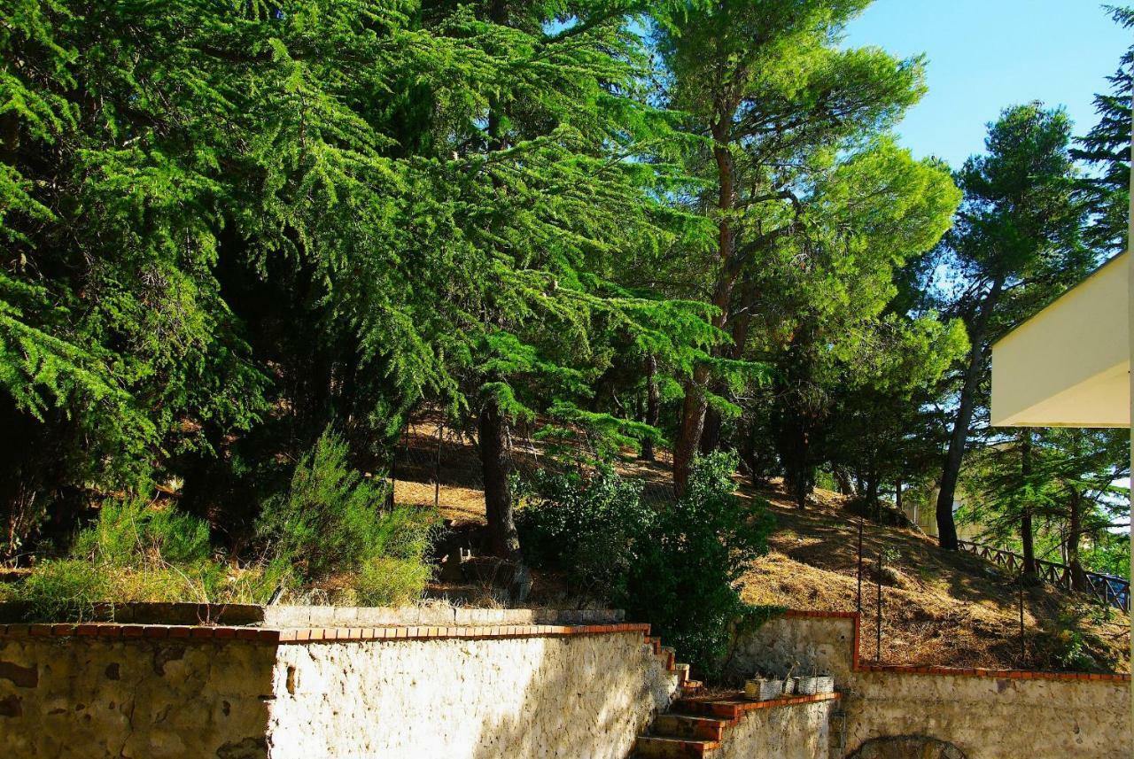 נואורו La Casa Di Boz B&B מראה חיצוני תמונה